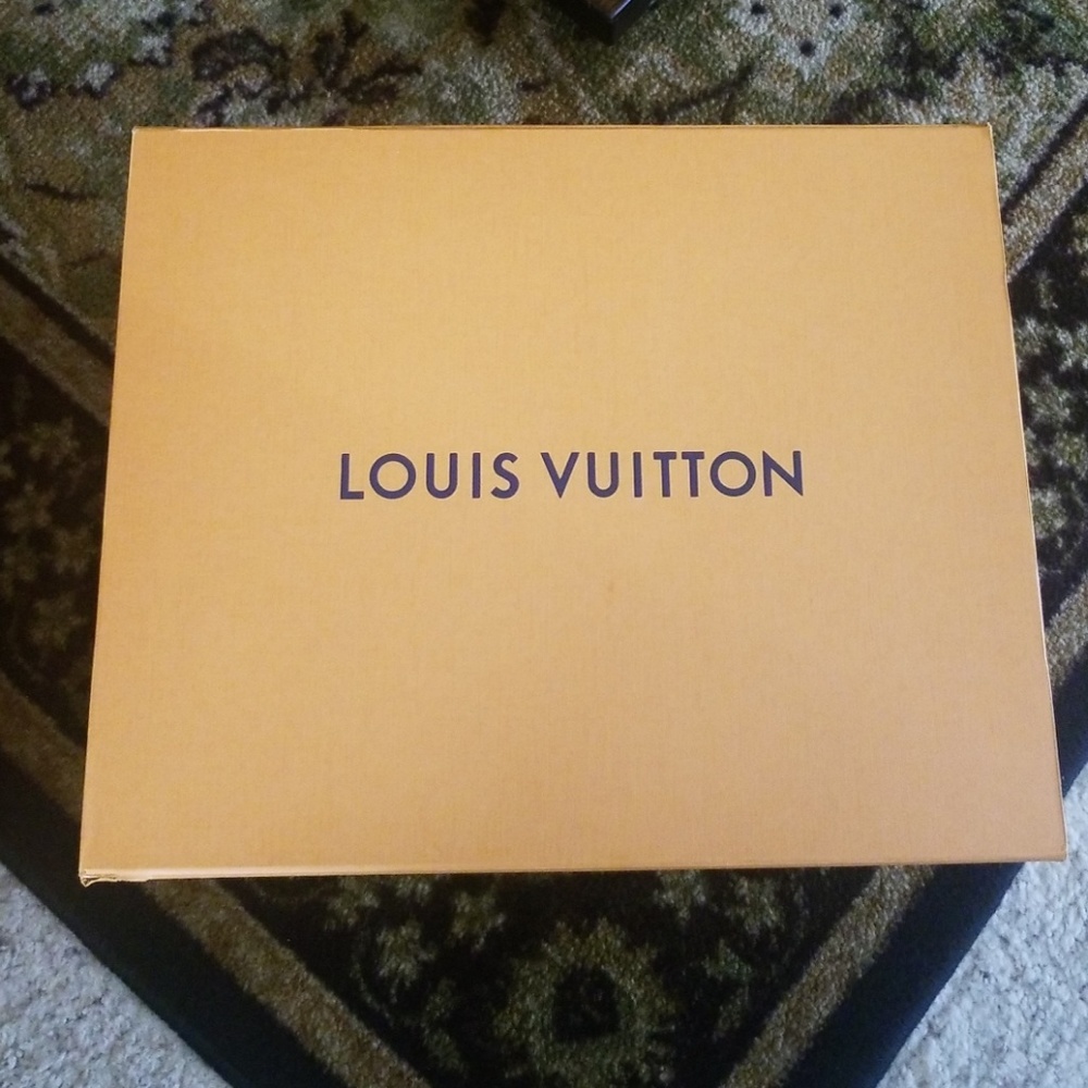 Louis Vuitton Hobo Bag